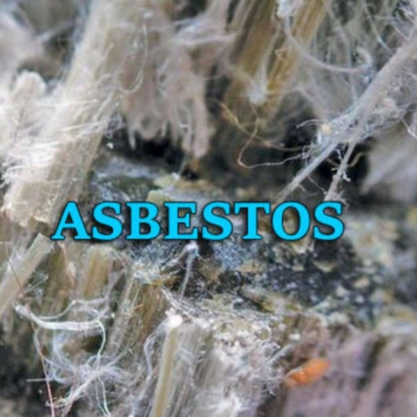Asbestos Fiber